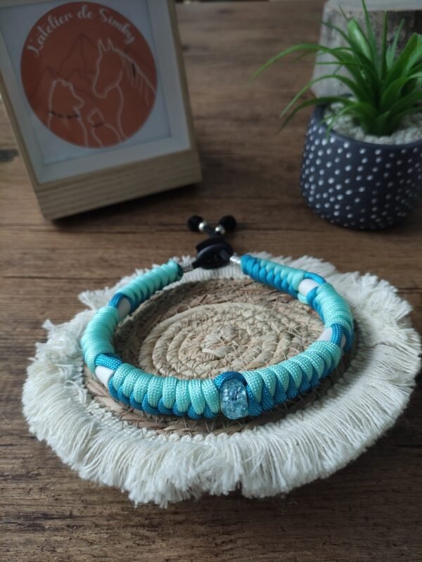 Collier anti-tiques Sky