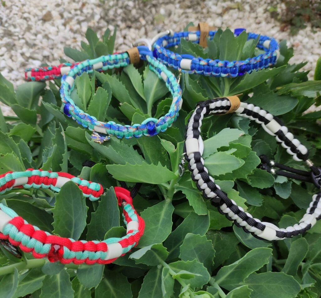 Collier anti-tiques cobra personnalisé