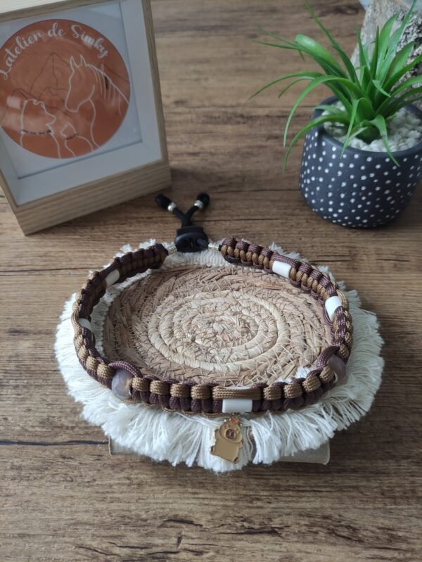 Collier anti-tiques Capybara