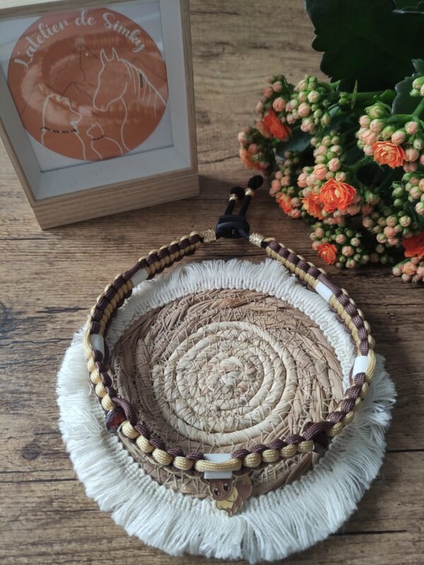 Collier anti-tiques Evoli