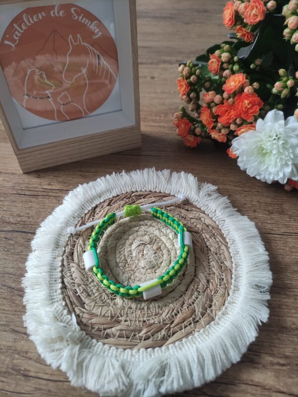 Bracelet anti-tiques Anahata