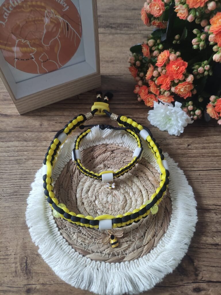 Ensemble Matchy-Matchy Bee
