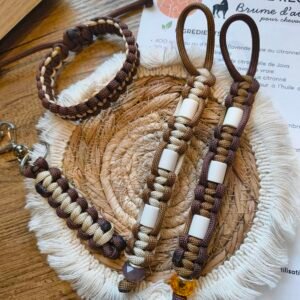 🐴 Pack Équinox d’Automne