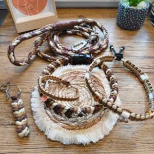 🐶 Pack Complicité d'Automne