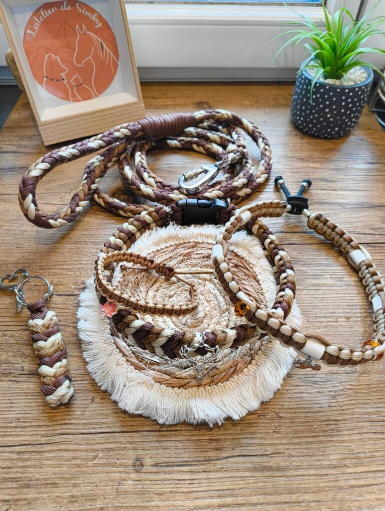 🐶 Pack Complicité d'Automne