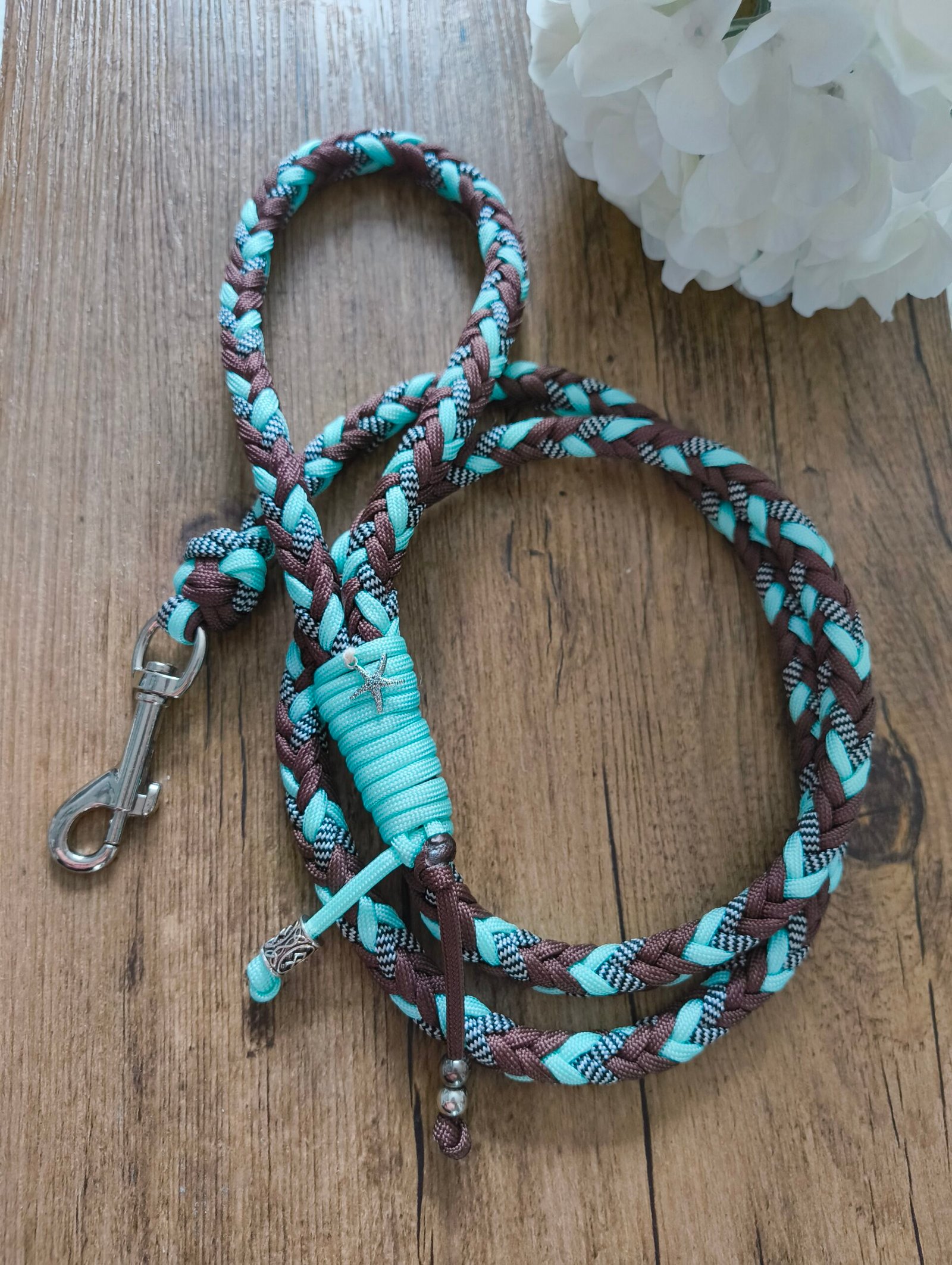 Collection Lagon – Image 2