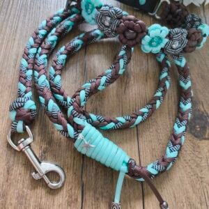 Collection Lagon