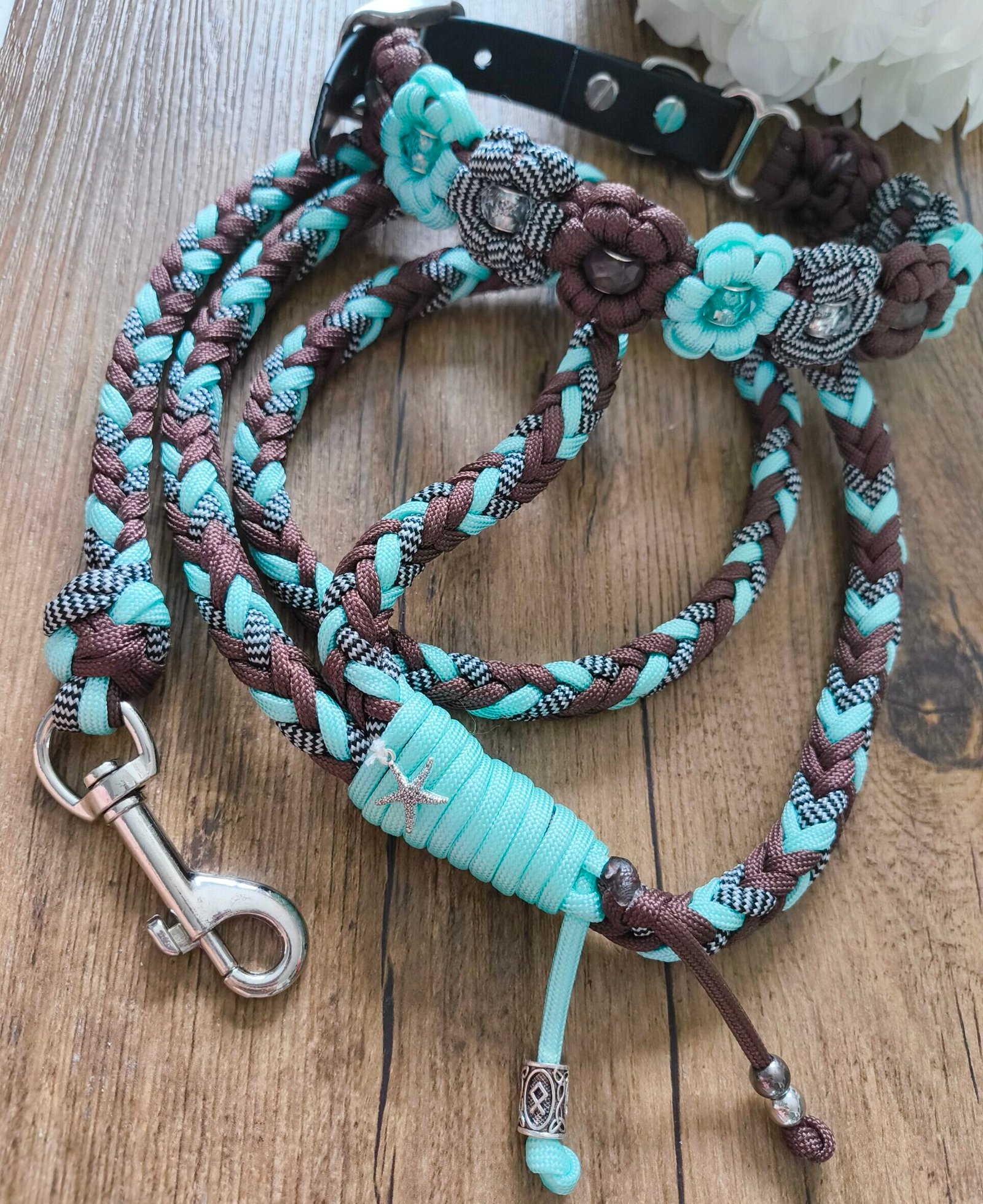 Collection Lagon